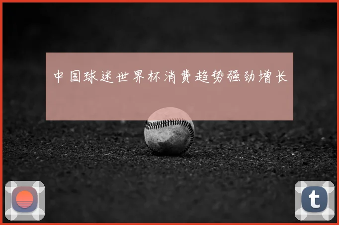 中国球迷世界杯消费趋势强劲增长